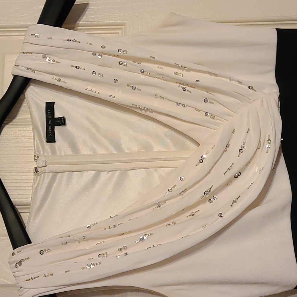 David meister size 6 ivory and black long gown